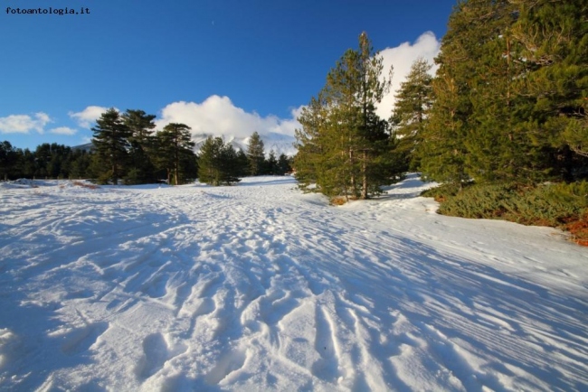 paesaggio nevoso (etna)