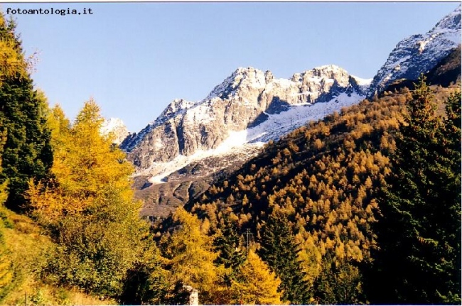 AUTUNNO IN ALTA VALLECAMONICA