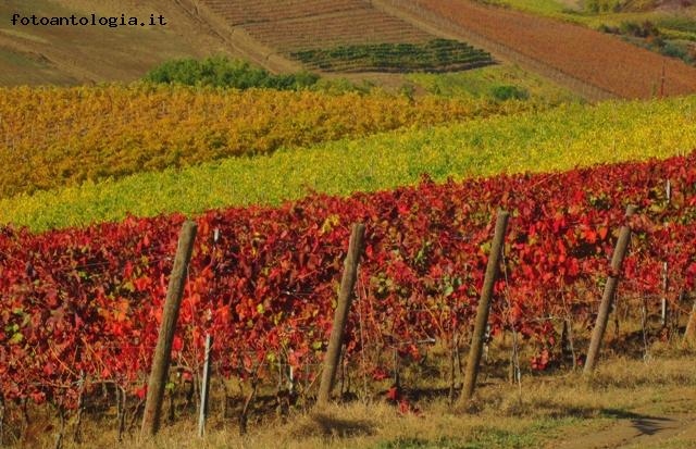 Autunno a Certaldo (FI), Toscana