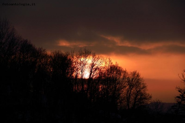 L'ultimo colore della sera.....