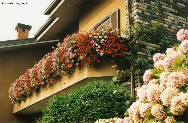 balcone fiorito di casa  mia