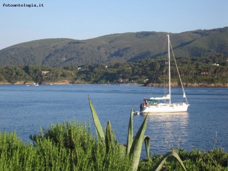 isola d'elba