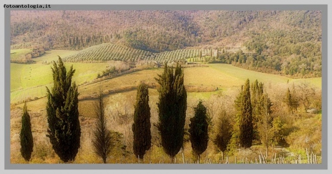 verso San Gimignano