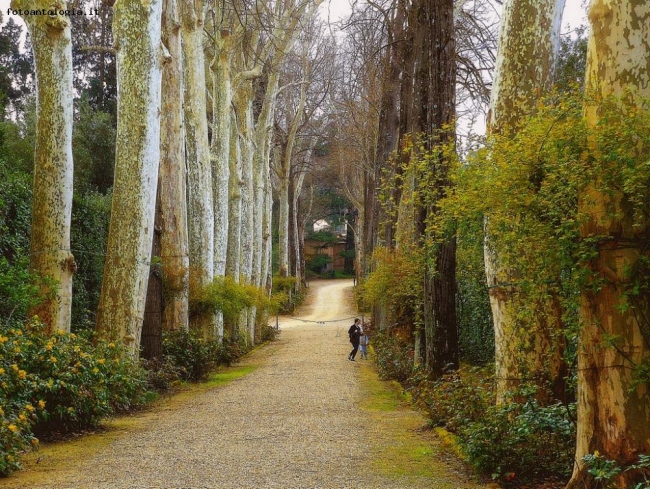 giardini di Boboli - Firenze