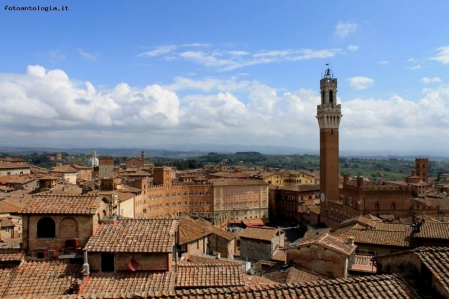 Cartolina di Siena