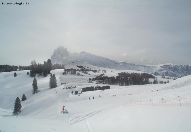 MONTAGNA INNEVATA