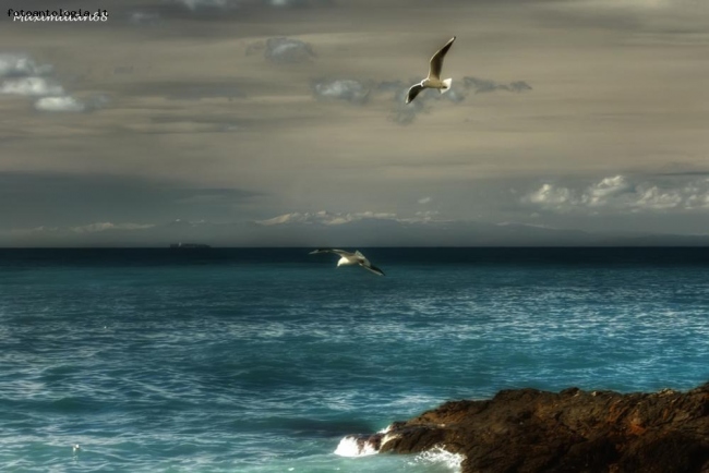 In Volo