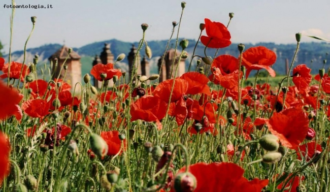 Toccare il cielo