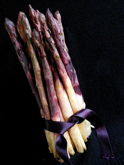 asparagi viola