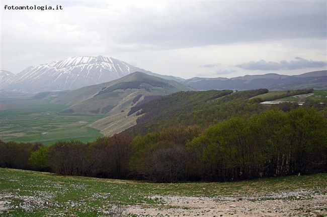 Monti Sibillini