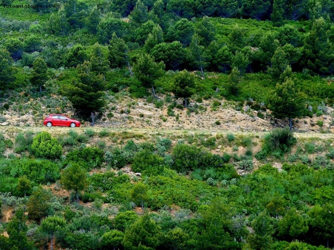 una macchia rossa nel verde