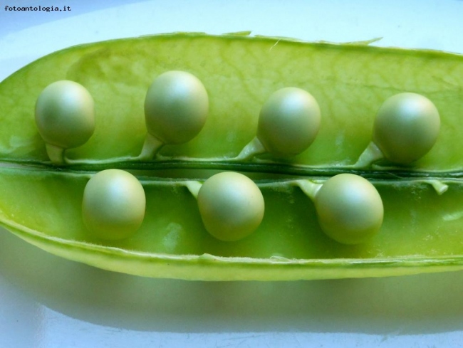 perle vegetali