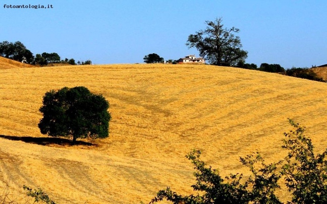 Colori di Maremma