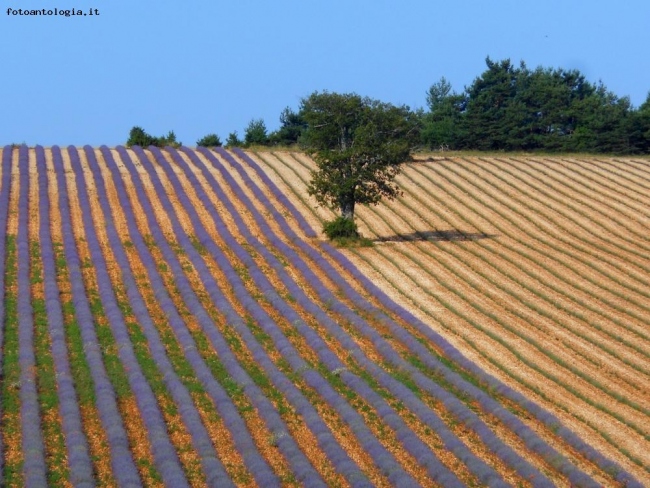 colori di provenza