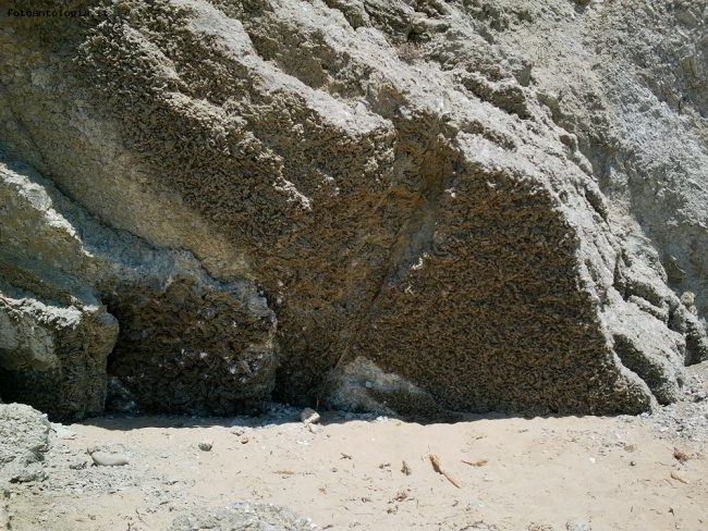 Sicilia - Formazioni di salgemma in riva al mare