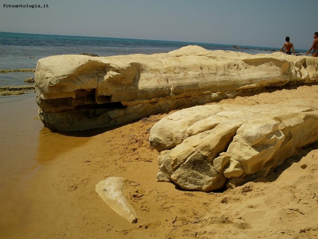 Sicilia - Formazioni calcaree in spiaggia