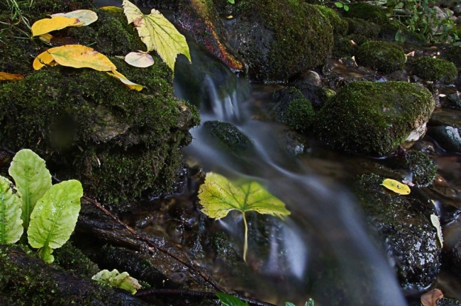 Autunno