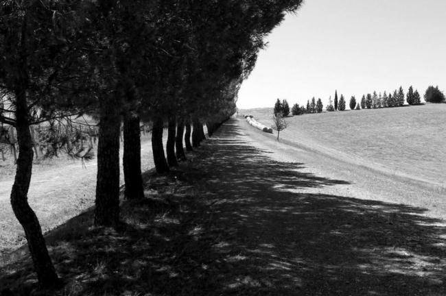 Campagna toscana