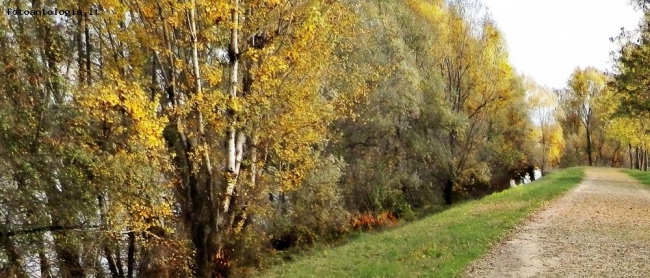 I colori dell'autunno