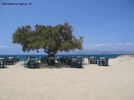 "taberna"