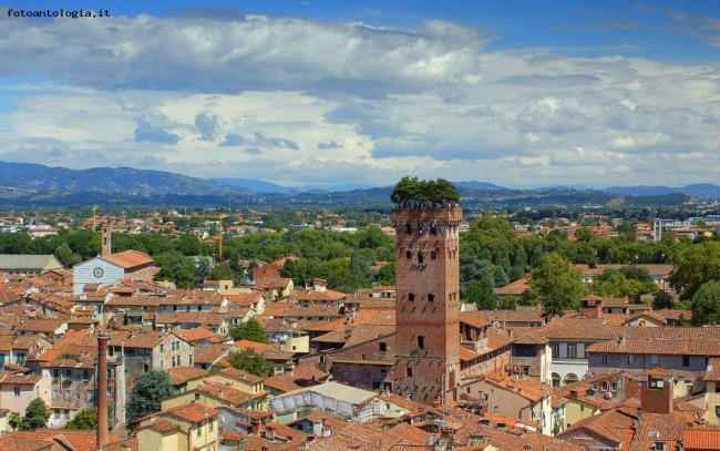 Lucca