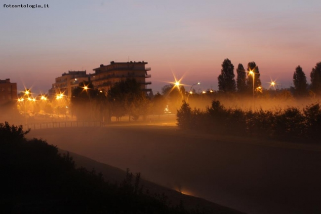 Nebbia all'alba