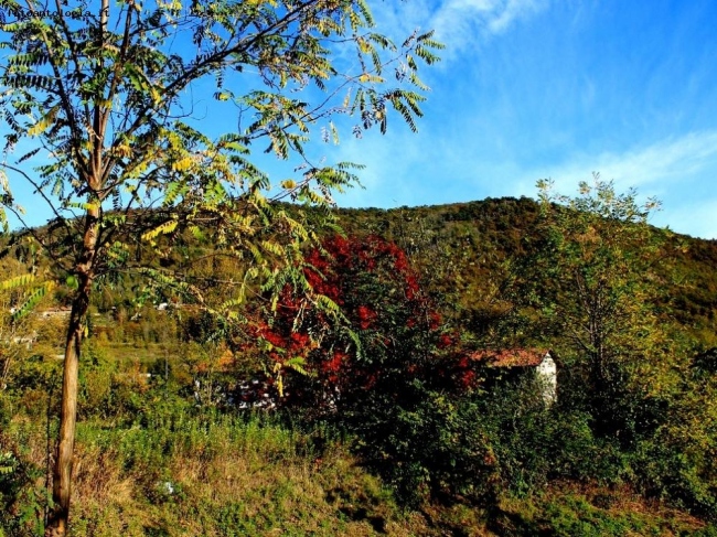 Impressioni d'autunno