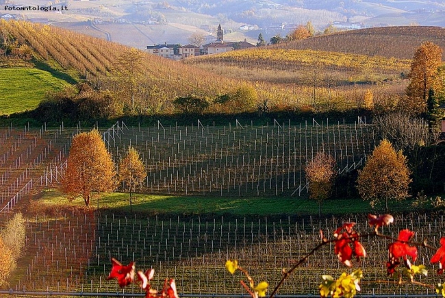 Langhe