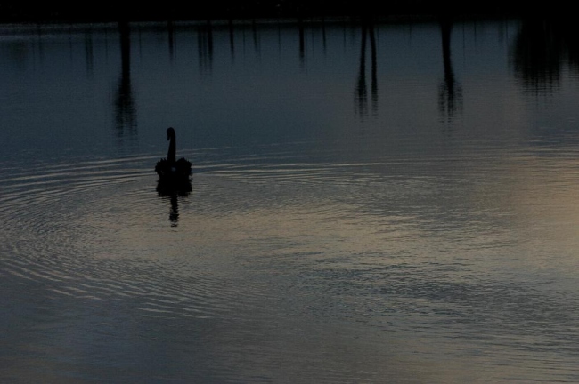 Il lago verso sera