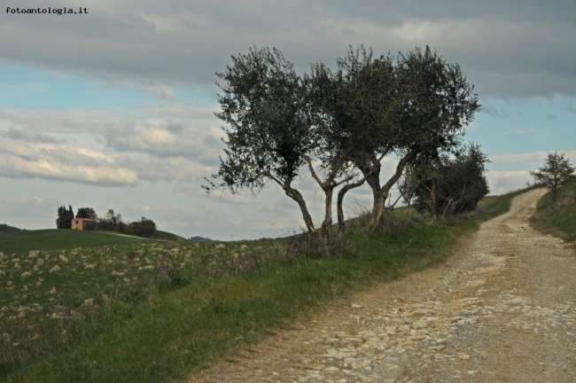 Autunno in Toscana...