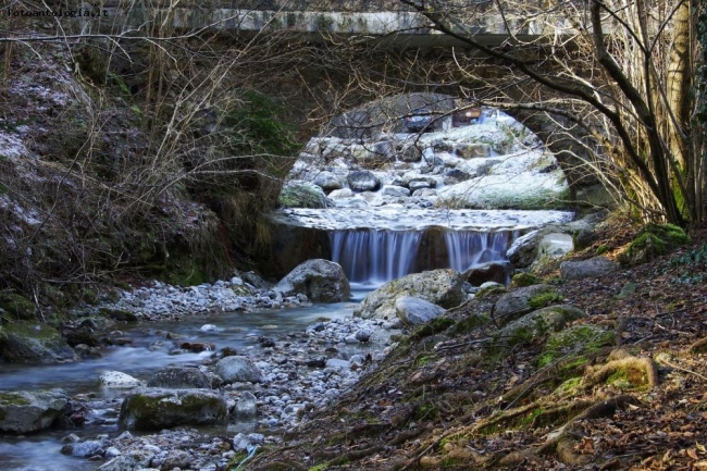 Torrente