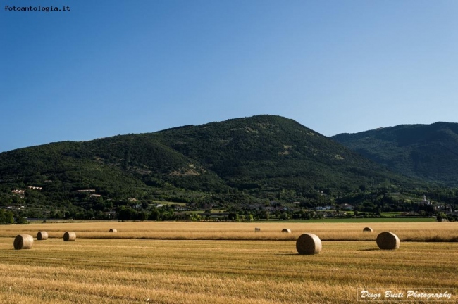 Paesaggio