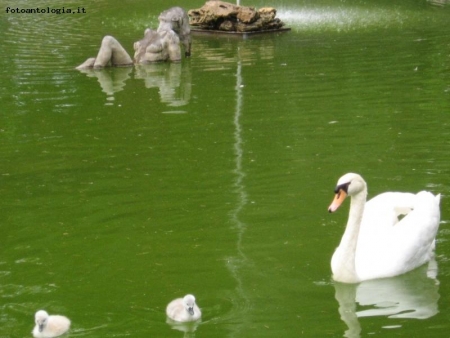 lago del parco di Ovada