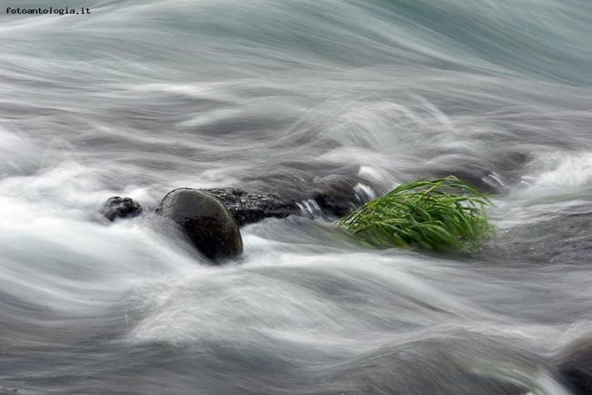 Pennellate D'acqua