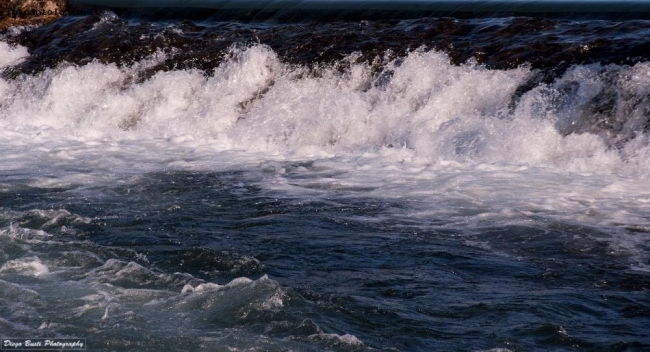 Acqua del Mincio.