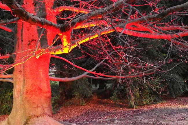 ...red effect...