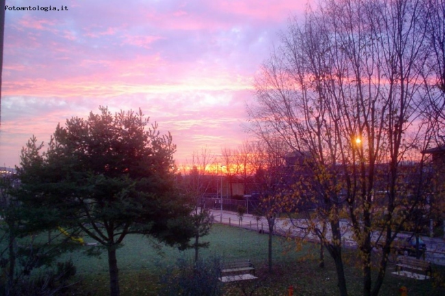 Alba