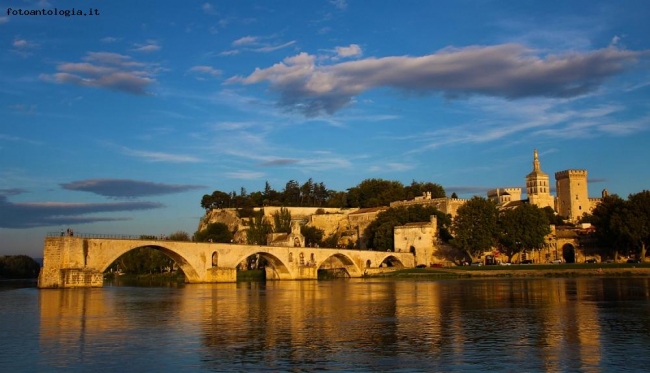 Avignone