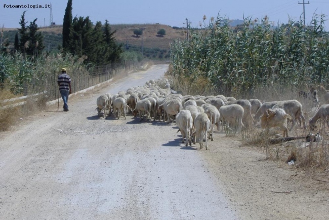 Campagna Siciliana