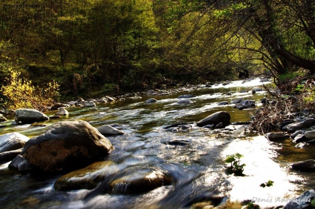 Torrente Argentina