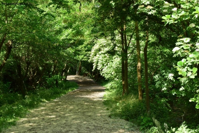 parco del Ticino