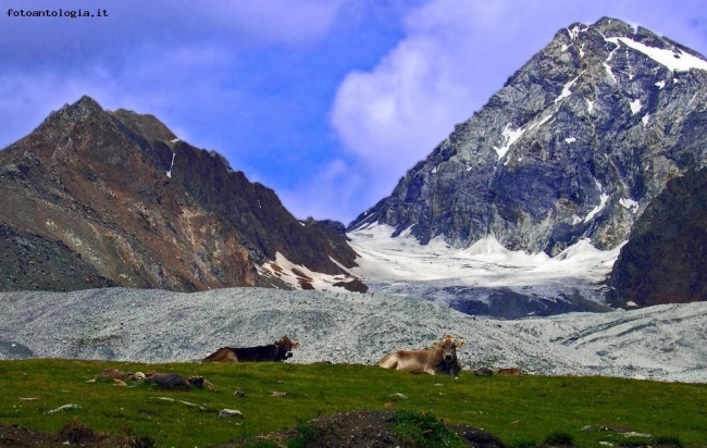 Paesaggio di montagna