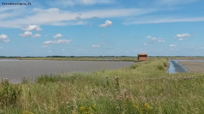 Oasi naturalistica di Pinarella di Cervia