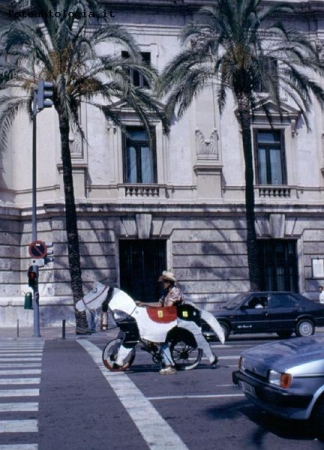 Ad Alicante, un giorno