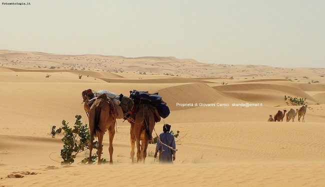 si parte per il deserto dell 'Adrar