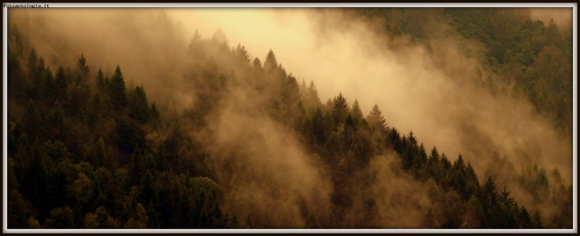 ... nebbia mattutina