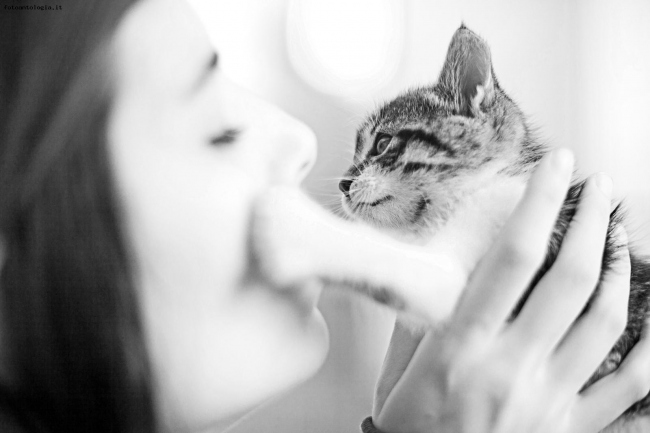 The girl and the cat