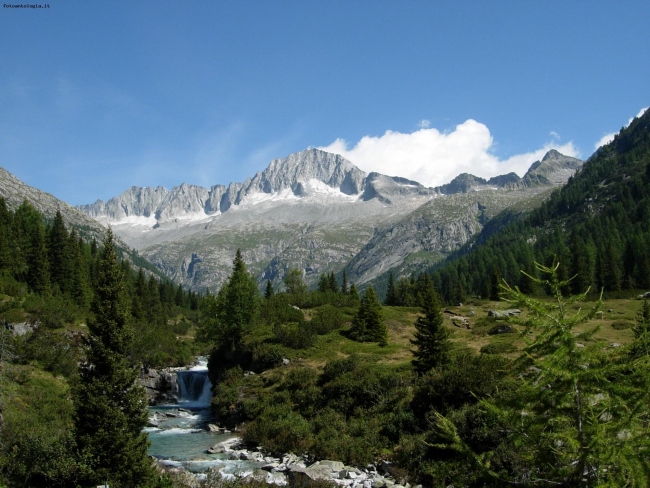 Ruscello di montagna in Val di Fumo (Trentino)