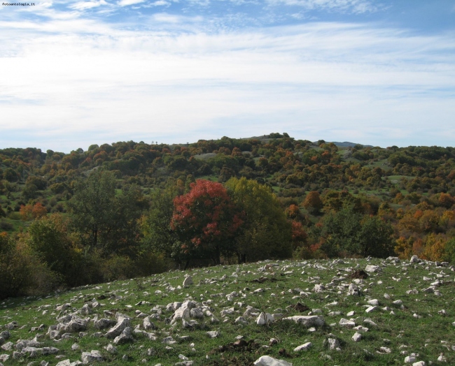 colori d'autunno