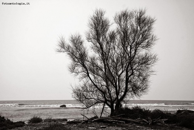 Al mare in inverno